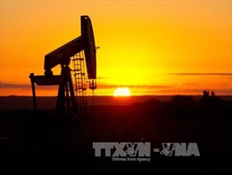 Giá dầu leo lên “đỉnh” sau hơn 6 tháng 
