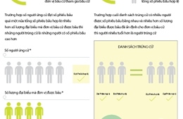 Nguyên tắc xác định người trúng cử