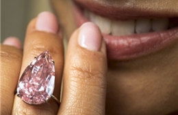 Kim cương hồng đặc biệt giá hơn 31 triệu USD 
