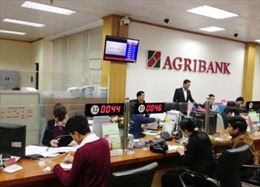 Agribank chi nhánh Đông Hải Phòng vượt khó vươn lên