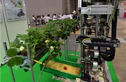 Robot - thế hệ nông dân mới của Nhật Bản?