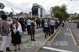 Động đất 7,2 độ Richter ở Ecuador