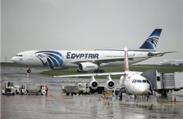 EgyptAir "xuống dốc" kể từ Mùa xuân Arab