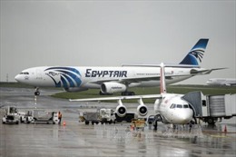 Các giả thiết về vụ máy bay EgyptAir rơi