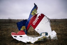Nga bị kiện trong vụ MH17