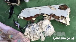 Ai Cập: Còn quá sớm để kết luận cuối cùng về vụ máy bay MS804