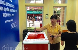 Thừa Thiên- Huế, Yên Bái dẫn đầu tỷ lệ cử tri đi bỏ phiếu