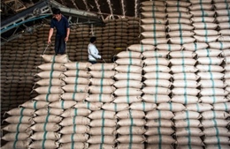 Myanmar thu mua 30.000 tấn gạo dự trữ