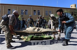 Afghanistan tiêu diệt 2 thủ lĩnh Taliban