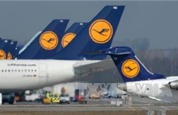 Lufthansa dừng bay tới Venezuela từ 17/6