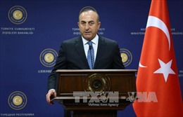 Thổ Nhĩ Kỳ đề xuất cùng Mỹ chống IS tại Syria 