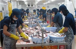Mỹ cảnh báo hai doanh nghiệp cá da trơn Việt Nam
