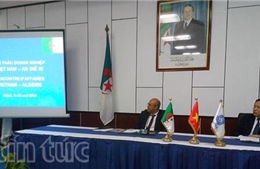 Tăng cường hợp tác kinh tế-thương mại Việt Nam-Algeria