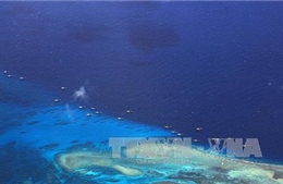Trung Quốc đã hủy diệt các rạn san hô tại Biển Đông 