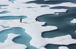 Bắc Cực có thể hết băng phủ ngay trong năm nay