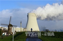 Hà Lan "đòi" Bỉ đóng cửa 2 máy điện hạt nhân bị nứt