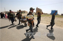 Quân đội Iraq giành lại khu vực phía Nam thành phố Fallujah