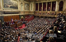 Thượng viện Pháp kêu gọi nới lỏng trừng phạt Nga