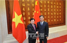 Phó Thủ tướng Trịnh Đình Dũng hội kiến Phó Thủ tướng Trung Quốc