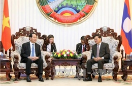 Chủ tịch nước hội kiến Thủ tướng, Chủ tịch Quốc hội Lào