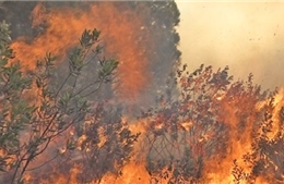 Nghệ An dập tắt cháy rừng tại huyện Nam Đàn
