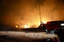Hỏa hoạn thiêu rụi một xưởng sản xuất giấy tại Bình Dương