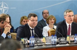 NATO hỗ trợ cải cách quân đội Ukraine