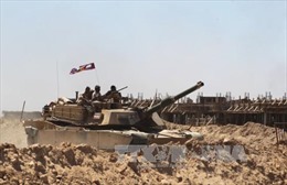 Quân đội Iraq tiến sâu vào Fallujah