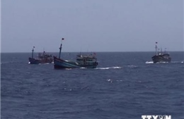 Malaysia bắt giữ 23 ngư dân Việt Nam