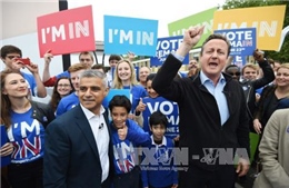 Đồng bảng tăng kỷ lục khi phe chống Brexit mạnh lên