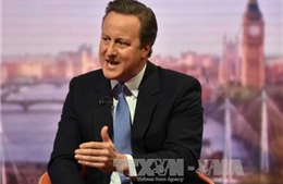 Ông Cameron kêu gọi cử tri Anh bỏ phiếu ở lại EU