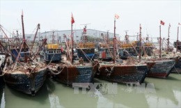 Trung Quốc lợi dụng đội tàu cá để tuyên bố chủ quyền biển