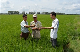 Hỗ trợ đất sản xuất cho đồng bào Khmer
