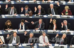 EP giục Anh bắt đầu tiến trình đàm phán rời EU