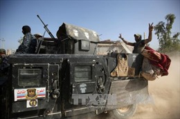 Liên quân tiêu diệt hai thủ lĩnh IS tại Iraq 