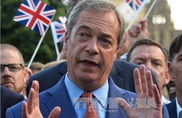Anh: Lãnh đạo đảng UKIP bất ngờ từ chức 