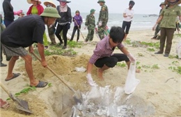 Thừa Thiên - Huế thiệt hại gần 135 tỷ đồng do cá chết