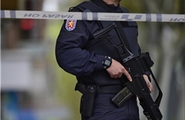 50 tòa thị chính Tây Ban Nha bị điều tra tham nhũng