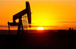 Trữ lượng dầu mỏ của Mỹ vượt Saudi Arabia và Nga 