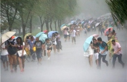 Hàng nghìn người sơ tán khi bão Nepartak đổ bộ vào Đài Loan