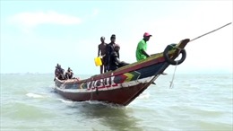 Tàu cá Trung Quốc tham lam "vơ cạn" vùng biển Guinea