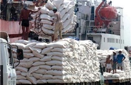 Campuchia xuất khẩu 268.190 tấn gạo nửa đầu năm