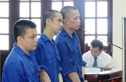 Xét xử lại vụ án giết người tại huyện Vĩnh Bảo 