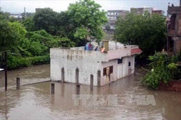 Mưa bão gây thiệt hại nặng cho Ấn Độ, Trung Quốc