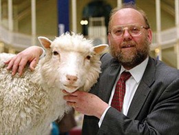 Cừu Dolly và hành trình 20 năm của nhân bản vô tính - Kỳ 1