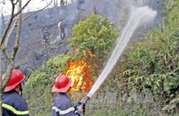 Dập tắt vụ cháy rừng tại Nghệ An