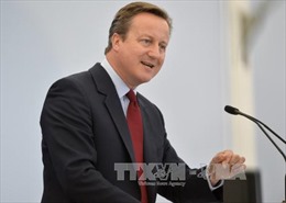 Thủ tướng Cameron hối thúc Anh "ở gần" EU