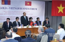 Thủ tướng dự Diễn đàn Doanh nghiệp Việt Nam - Mông Cổ