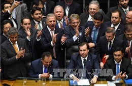 Brazil bầu Chủ tịch Hạ viện mới 