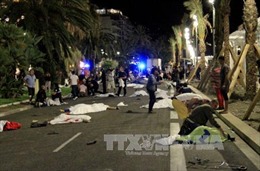 Việt Nam gửi điện chia buồn vụ tấn công khủng bố tại Nice